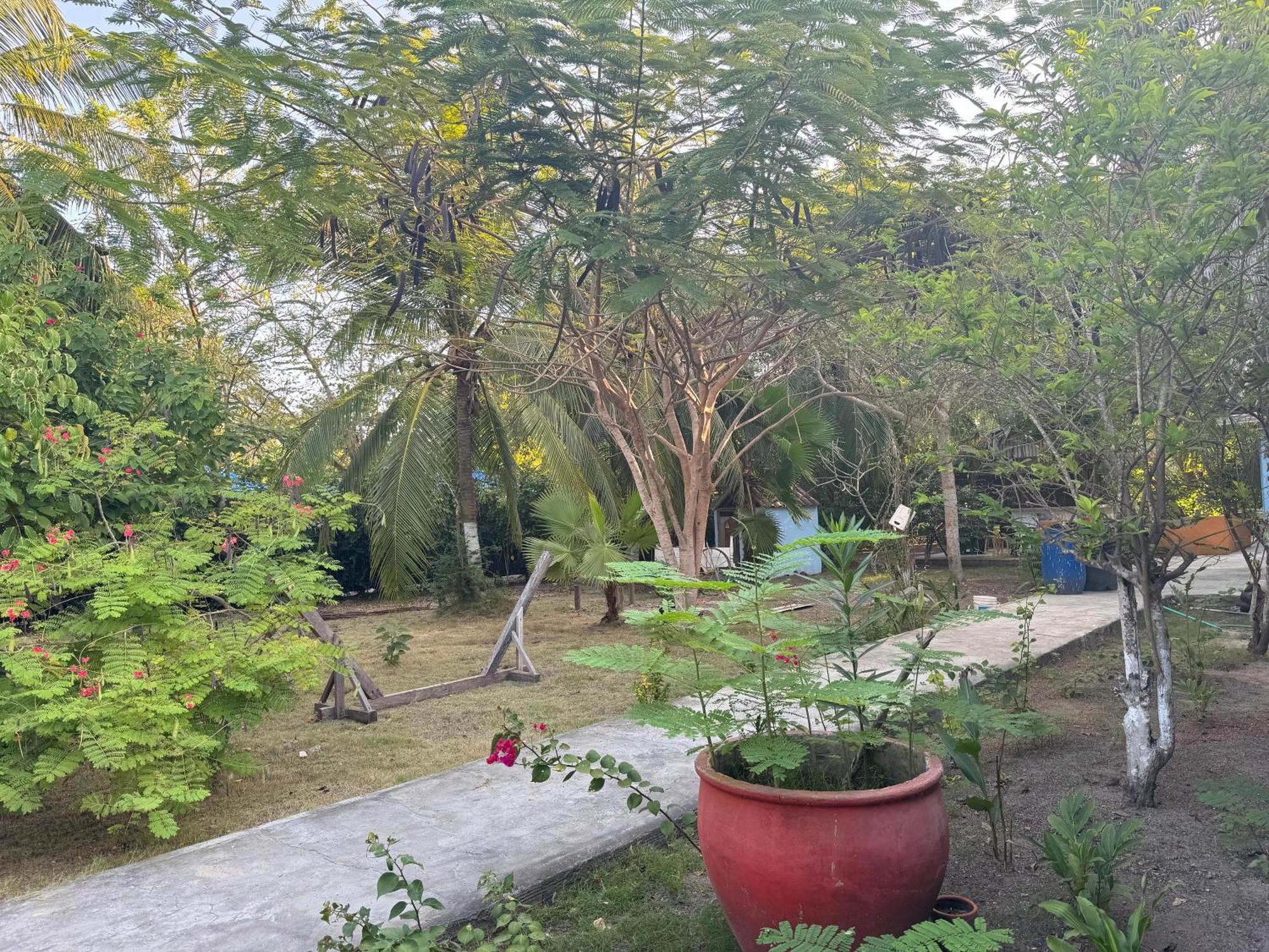 Casa Lolas House By Ctglifetravelers Исла-Гранде Экстерьер фото